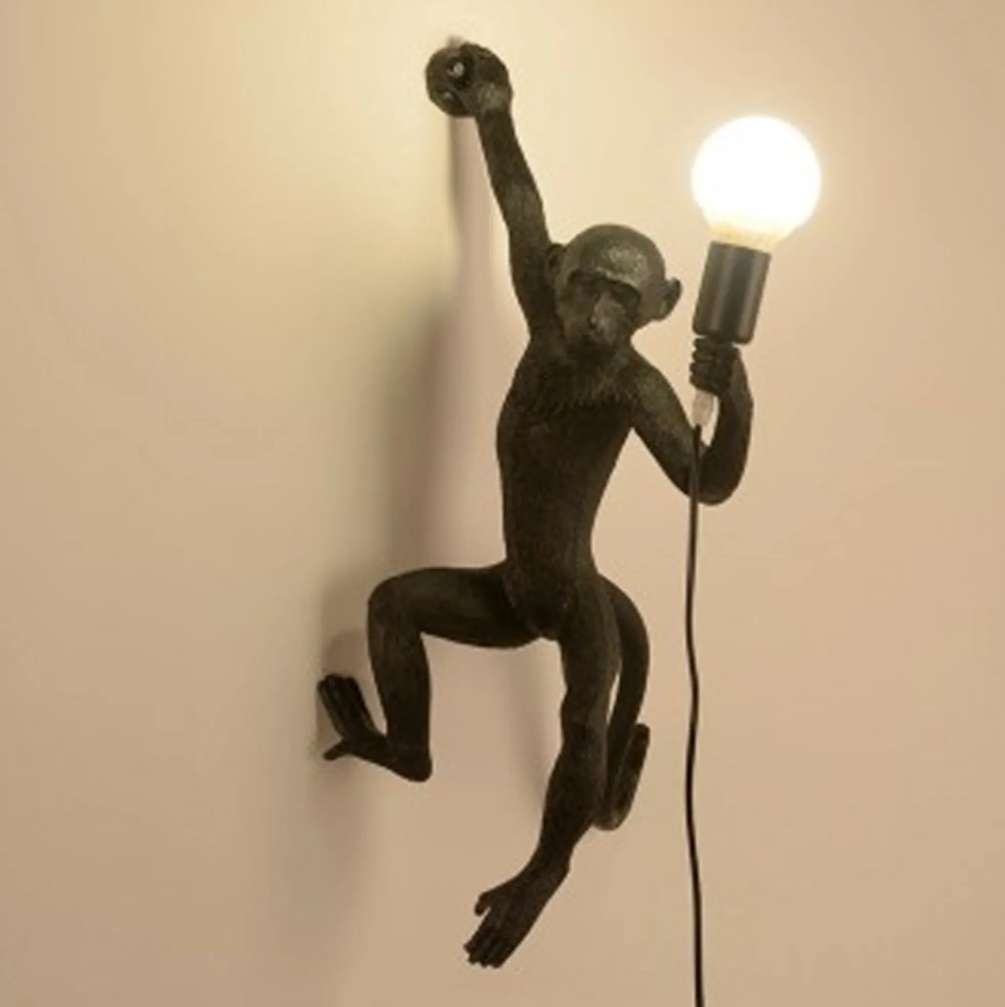 Aplique de pared mono de resina "César"
