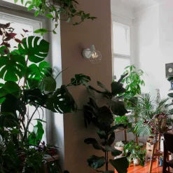 Aplique de pared o techo jaula