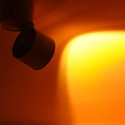 Aplique de pared y techo 