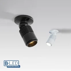 Aplique de techo con zoom - Orientable - 2700K - 3W