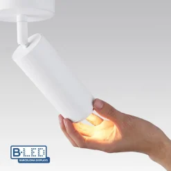 Aplique de techo LED orientable 8W - Ángulo ajustable - 2800K