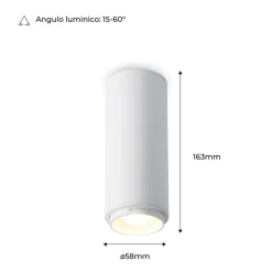 Aplique de techo LED 8W - Ángulo lumínico ajustable - 2800K