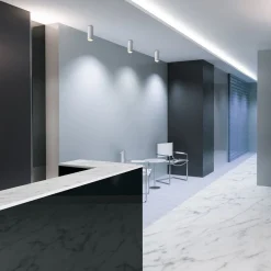 Aplique de techo LED 8W - Ángulo lumínico ajustable - 2800K