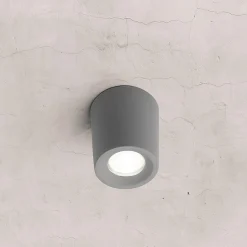 Aplique de techo
