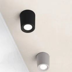 Aplique de techo