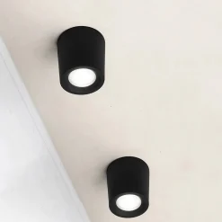 Aplique de techo