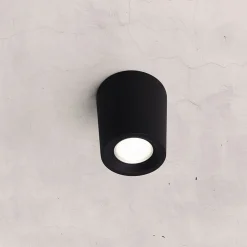 Aplique de techo
