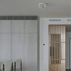 Aplique de techo triple orientable