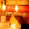 Bombilla filamento LED vintage ámbar - Regulable - E27 A60 - 4W
