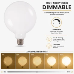 Bombilla LED decorativa "Milky" - Regulable - E27 G125 - 6W - 3000K - 530lm