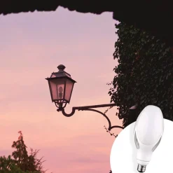 Bombilla LED ED90 E27 para farola 40W