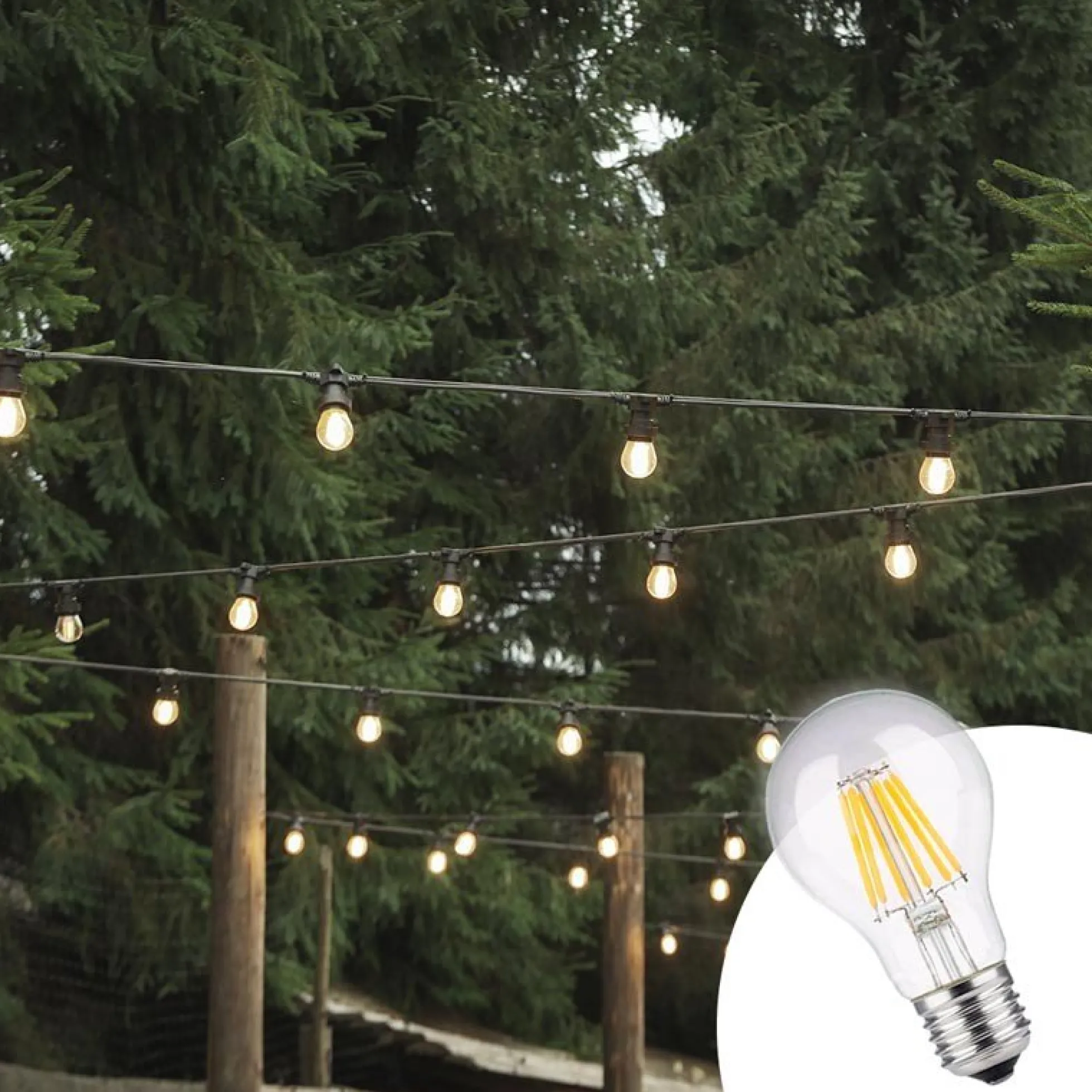 Bombilla LED filamento E27 60 - 8W - Transparente