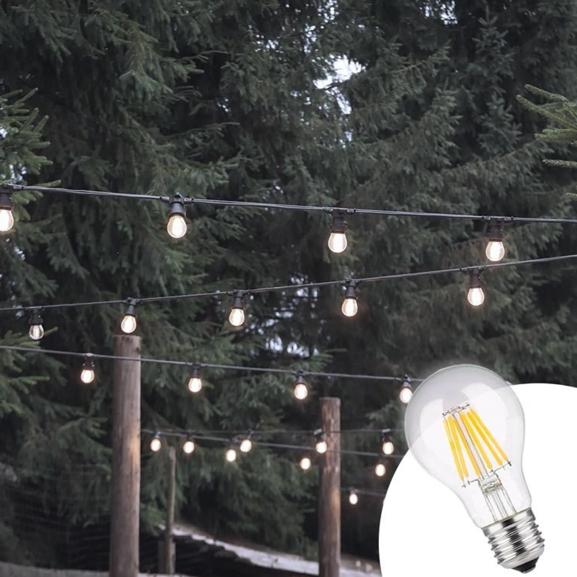 Bombilla LED filamento E27 60 - 8W - Transparente
