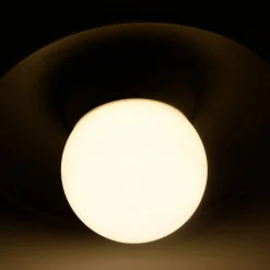 Bombilla LED Globo E27 G120 - 20W