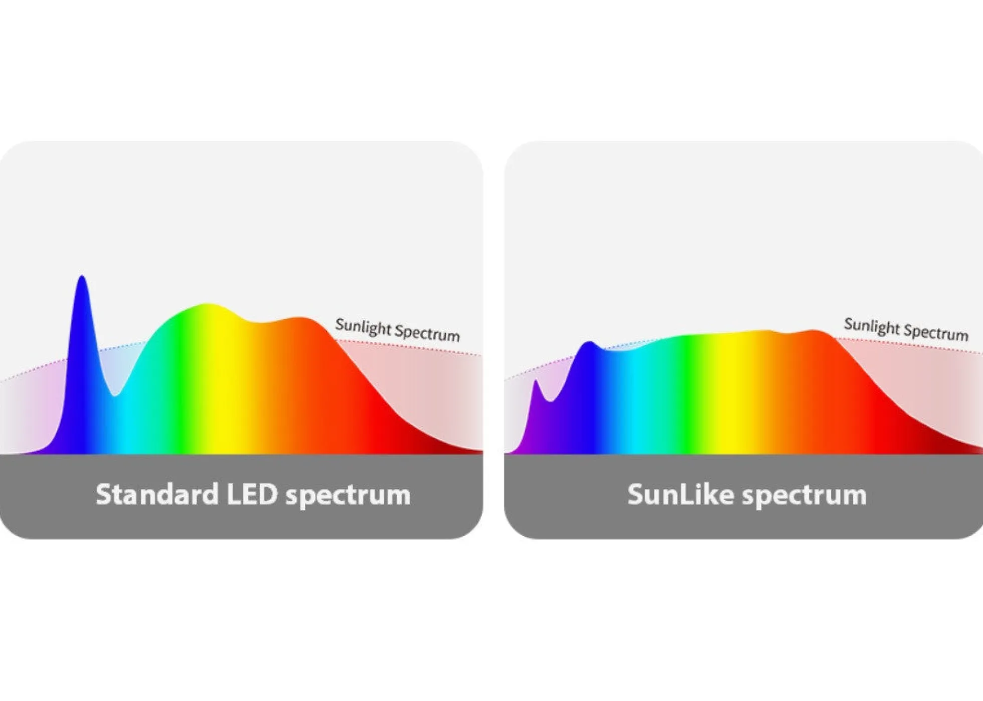 Bombilla LED GU10 6W Full Spectrum "SUNLIKE" - Cristal - 500lm - CRI90 - PAR16 - 36°