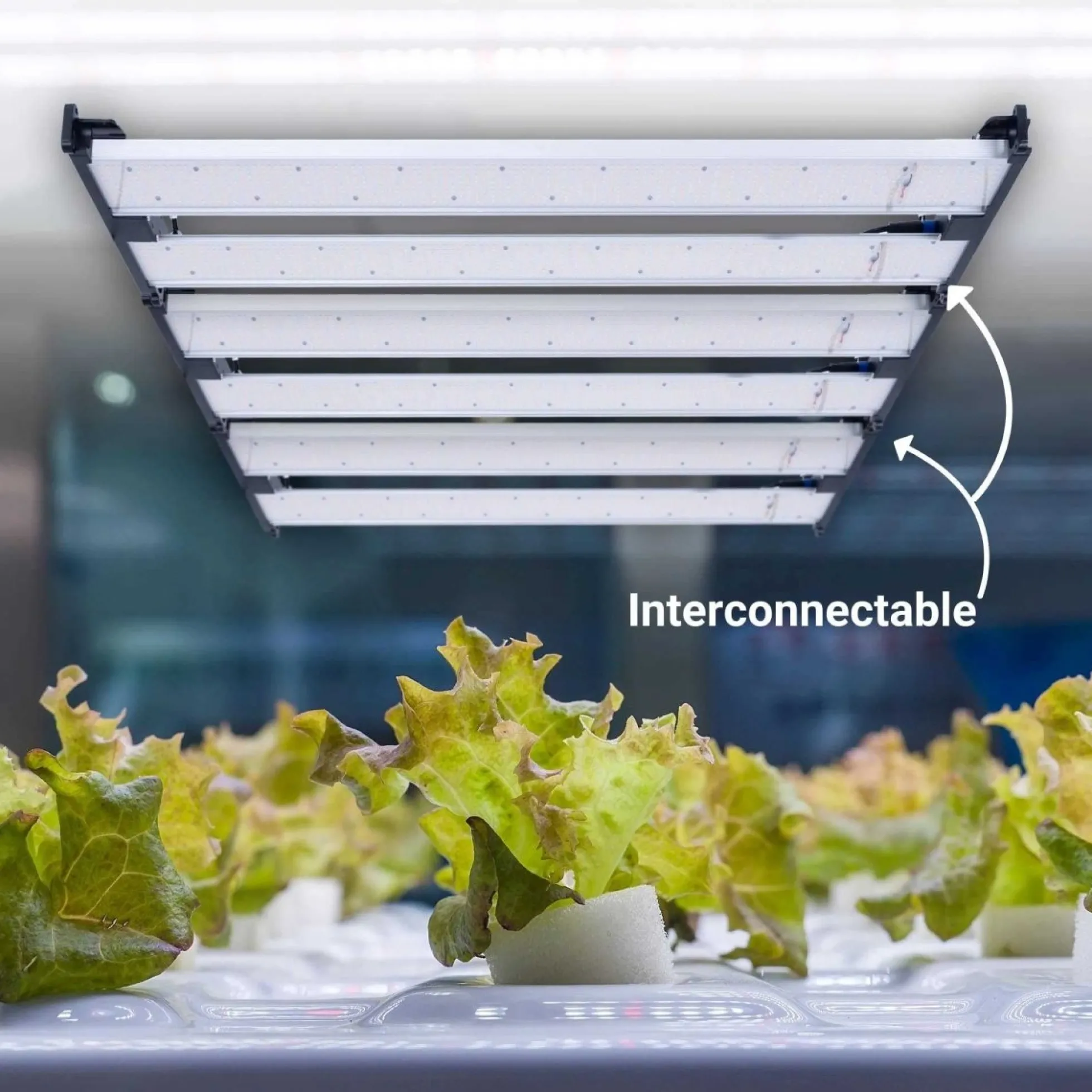 Cable de unión para luminarias de cultivo G400-250W