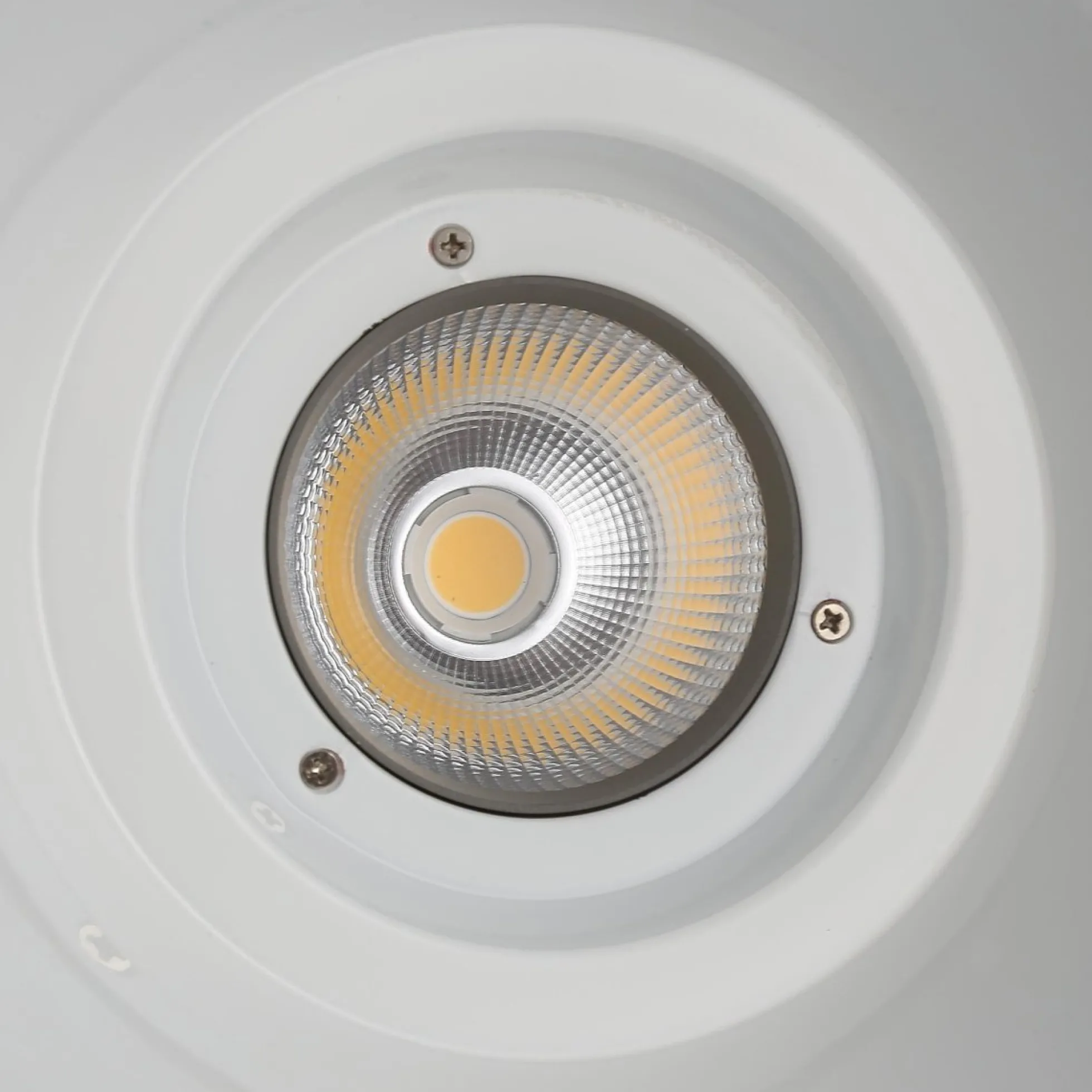 Campana LED 36W especial para carnicerías - Driver KeGu