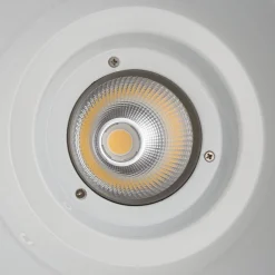 Campana LED 36W especial para oro y vino - Driver KeGu