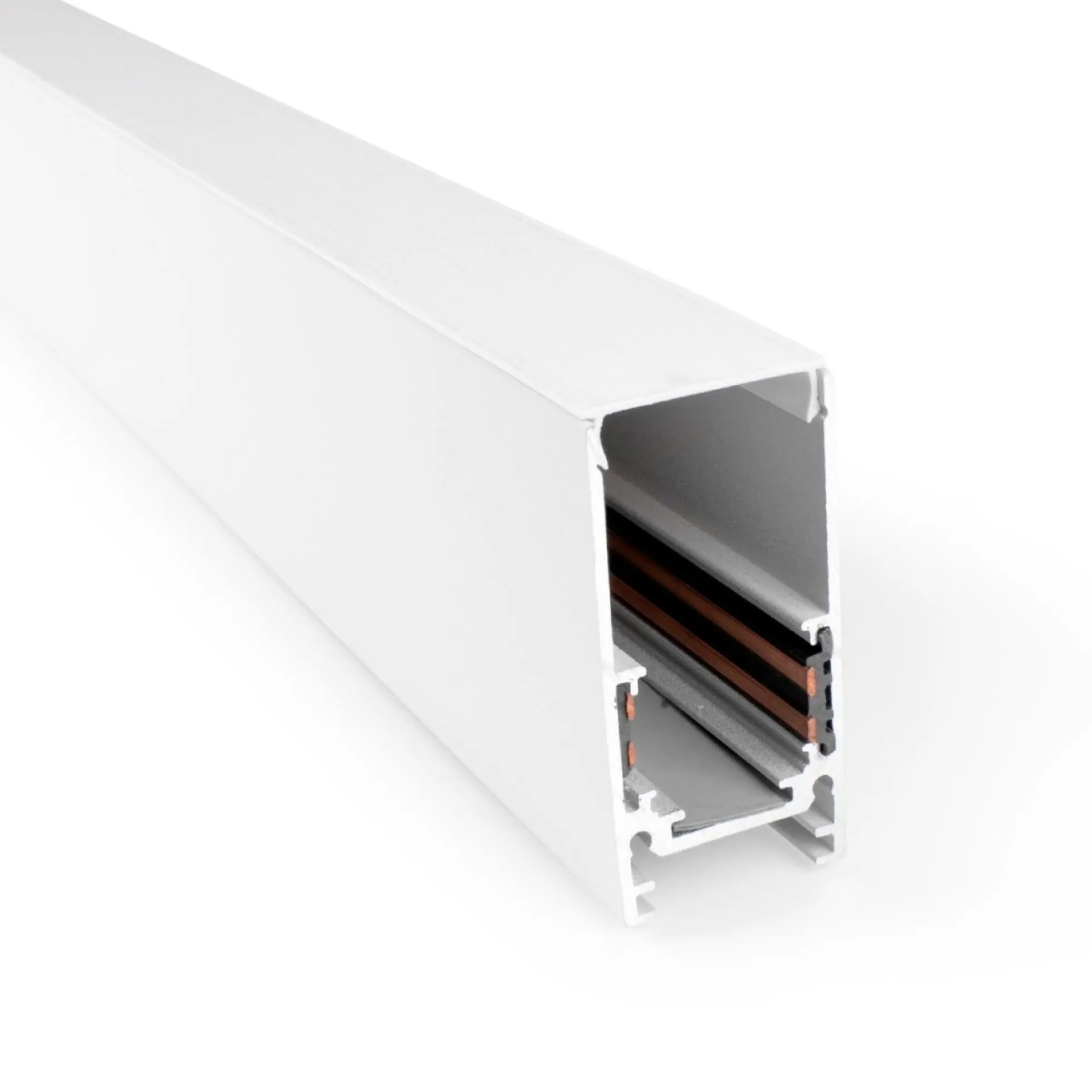 Carril magnético 20mm de superficie 48V - 1 metro