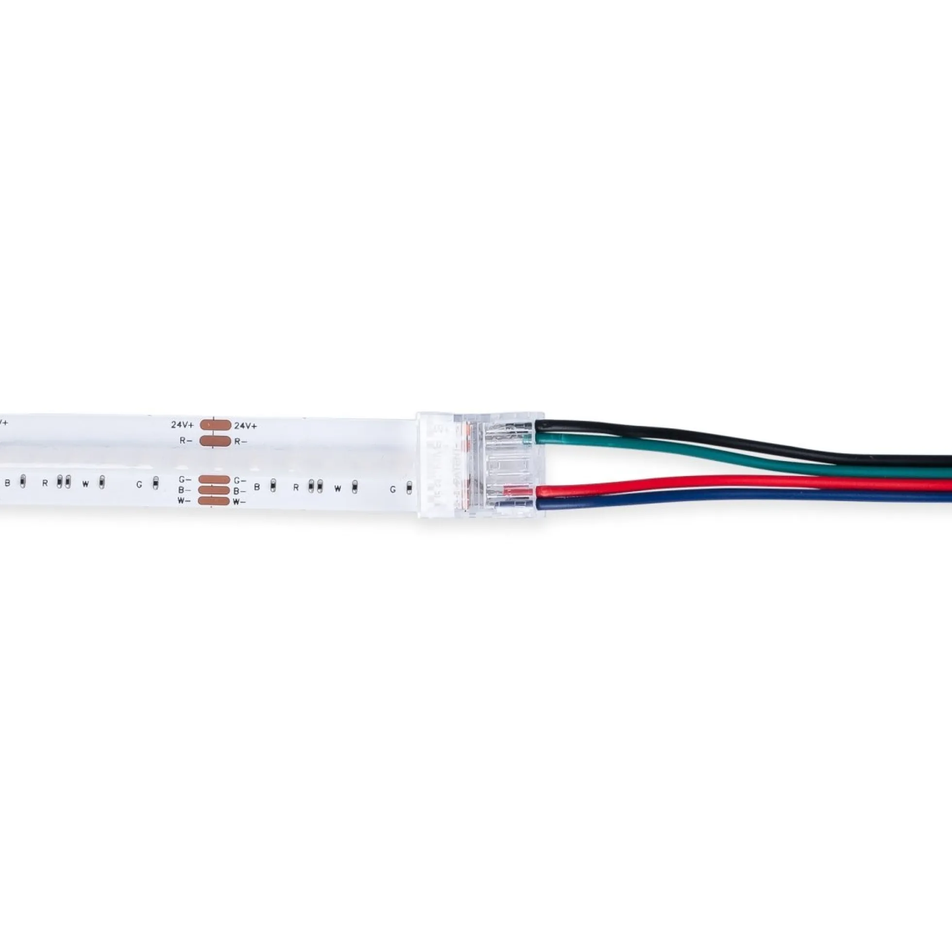 Conector Hippo Tira RGB COB a Cable - PCB 12mm - 4 pines - IP20 - Máx. 24V