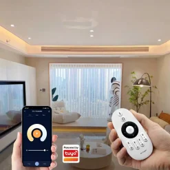 Controlador tira LED 2 en 1- Monocolor - CCT - 12/24V DC - 2.4GHz+ WiFi - Mi Boxer - E2-WR