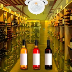 Downlight LED basculante empotrable - Chip especial para oro y vino - 40W