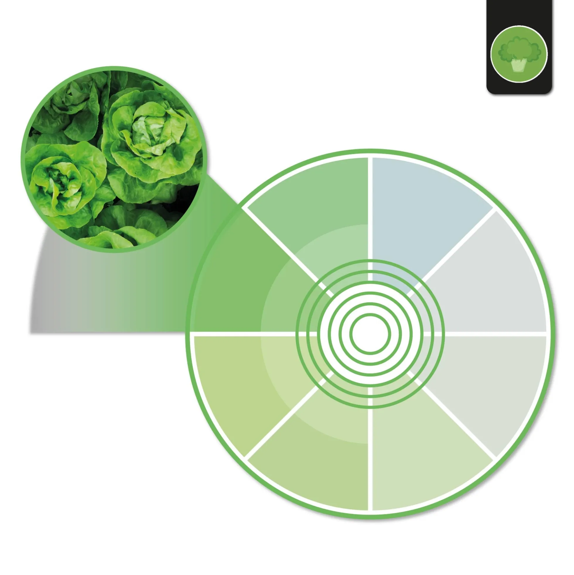 Downlight LED basculante empotrable - Chip especial para verduras - 40W