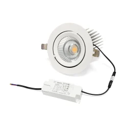 Downlight LED basculante empotrable - Chip especial para verduras - 40W