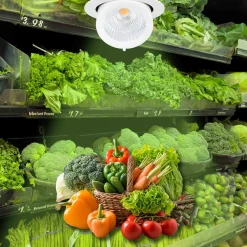 Downlight LED basculante empotrable - Chip especial para verduras - 40W