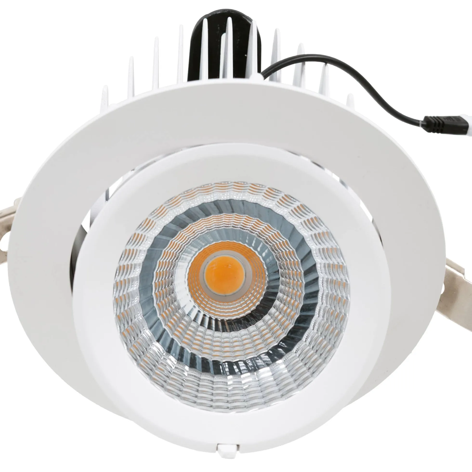 Downlight LED basculante empotrable - Chip especial para verduras - 40W