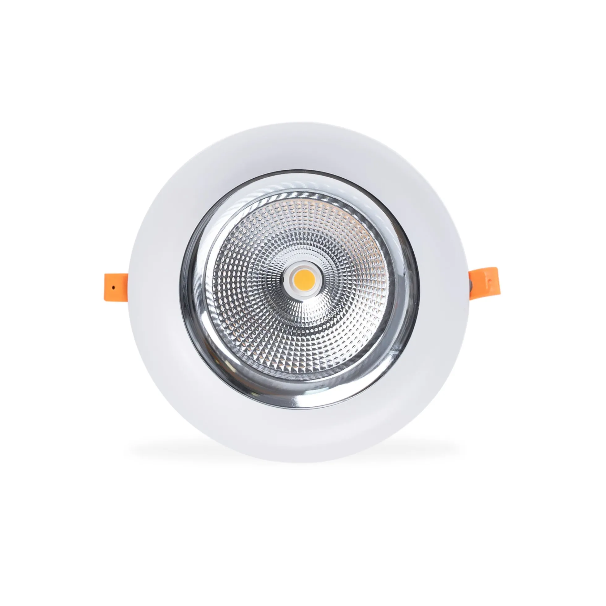 Downlight LED especial para carnicerías - 40W - Driver Philips - Corte Ø210 mm