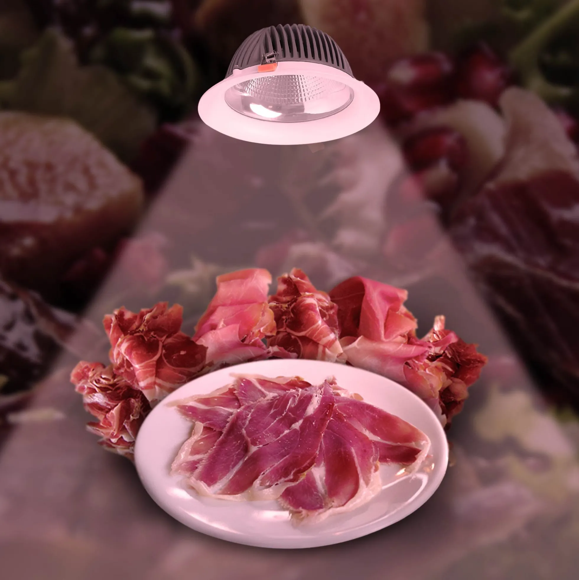 Downlight LED especial para carnicerías - 40W - Driver Philips - Corte Ø210 mm