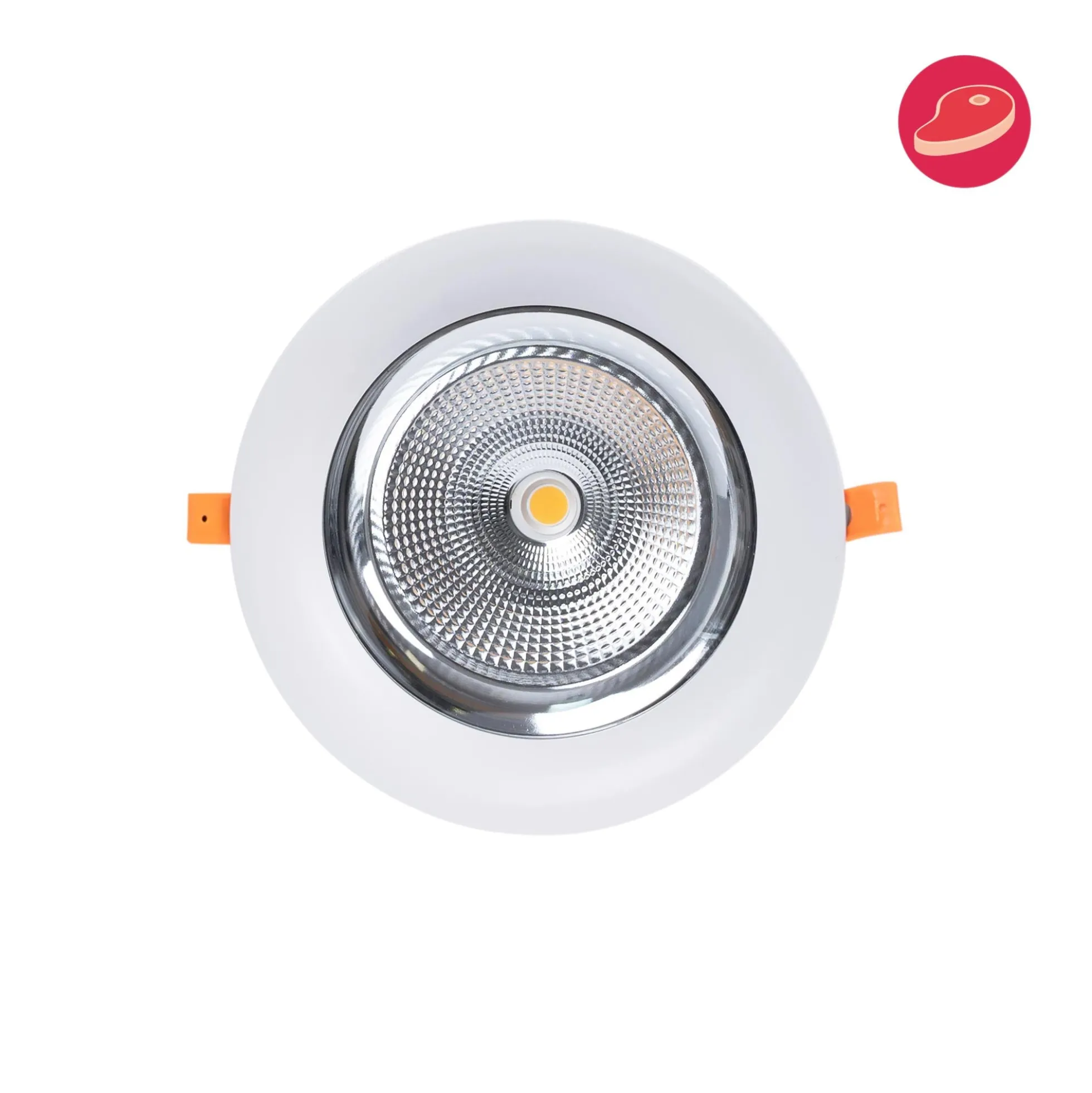 Downlight LED especial para carnicerías - 40W - Driver Philips - Corte Ø210 mm