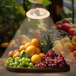 Downlight LED especial para frutas y verduras - 40W - Driver Philips - Corte Ø210 mm