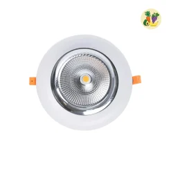 Downlight LED especial para frutas y verduras - 40W - Driver Philips - Corte Ø210 mm