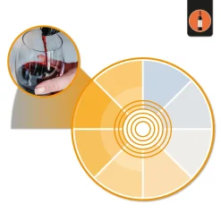 Downlight LED especial para tiendas de oro y vino - 40W - Driver Philips - Corte Ø210 mm