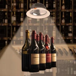 Downlight LED especial para tiendas de oro y vino - 40W - Driver Philips - Corte Ø210 mm