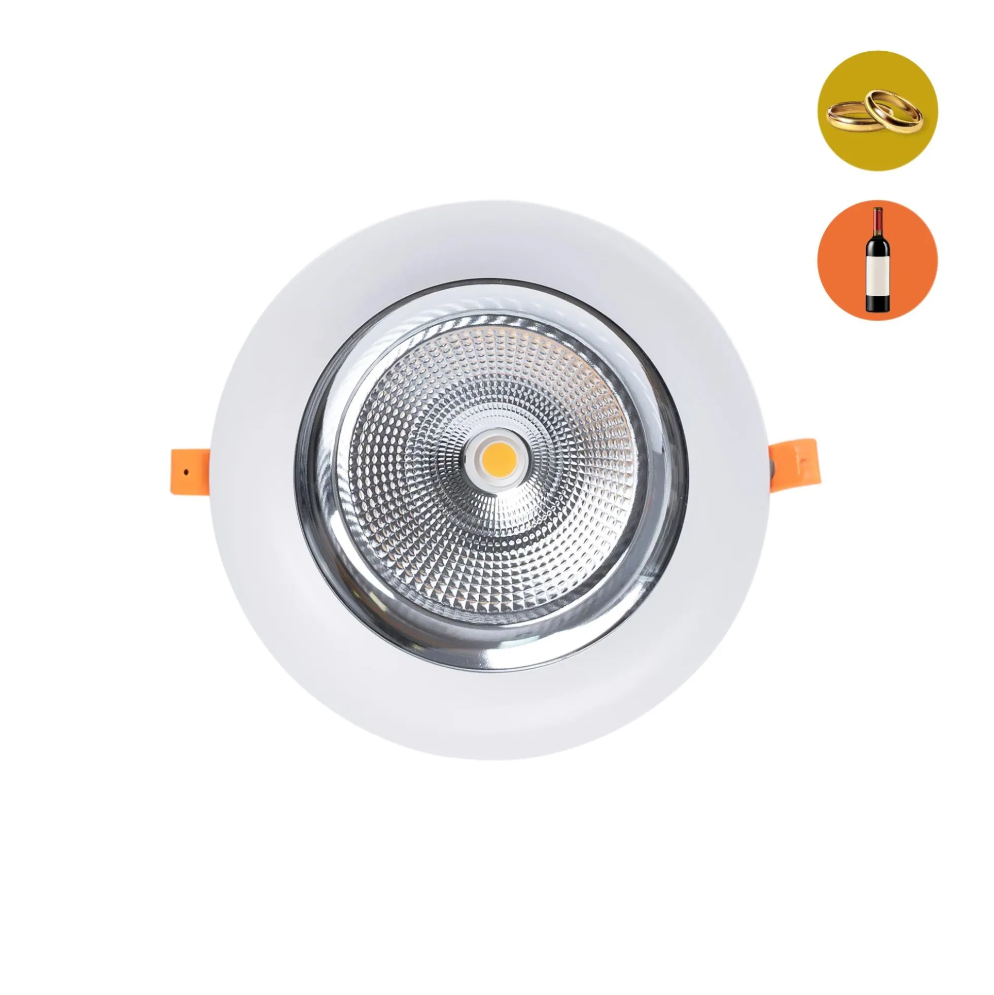 Downlight LED especial para tiendas de oro y vino - 40W - Driver Philips - Corte Ø210 mm