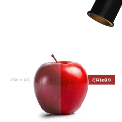 Downlight LED Mini 3W - Chip OSRAM - Bajo UGR - Ø 22mm