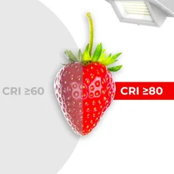 Downlight LED rectangular orientable CCT 38W - Blanco - 120° Driver LIFUD