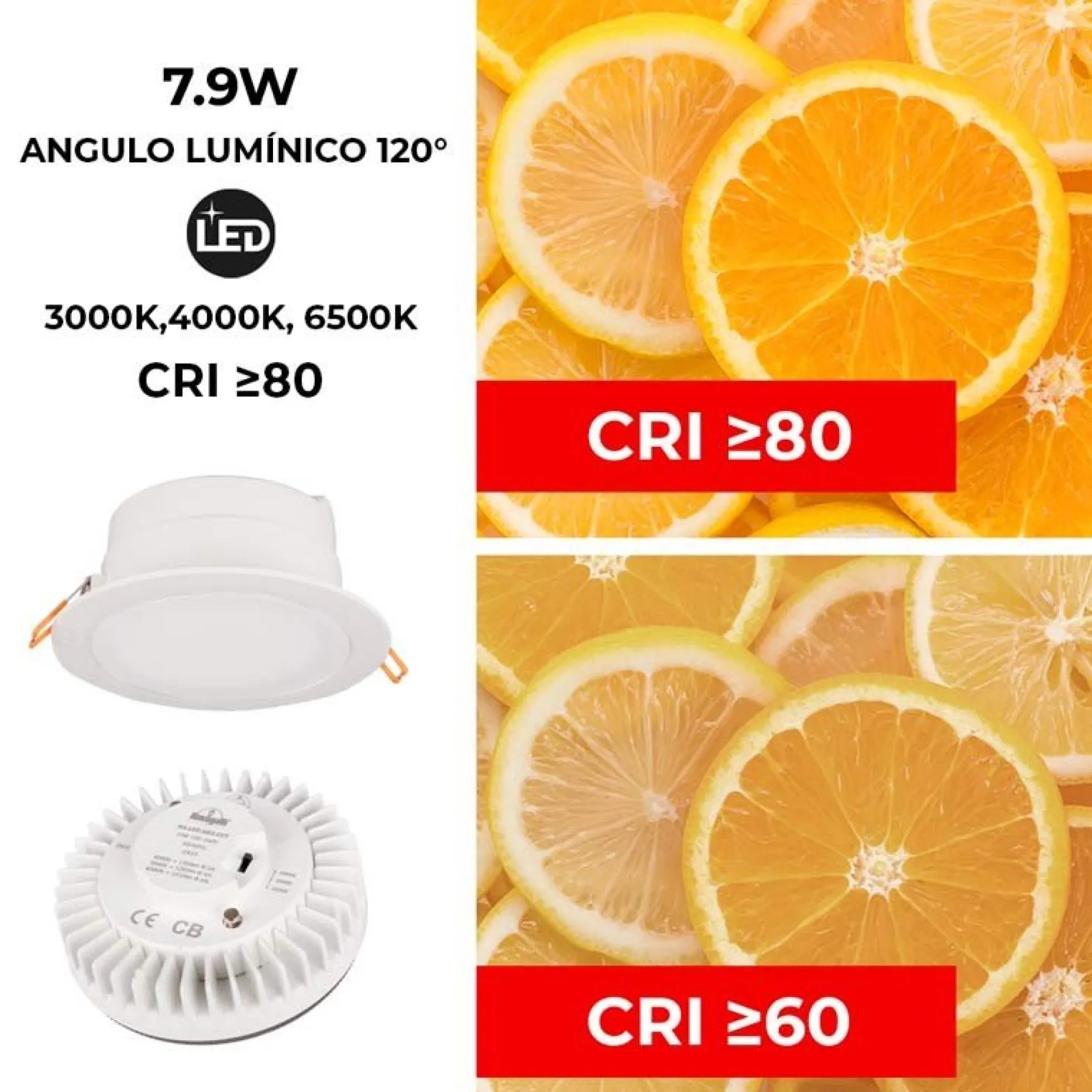 Downlight Redondo Estanco CCT Fumagalli "Teresa 160" 10W IP55