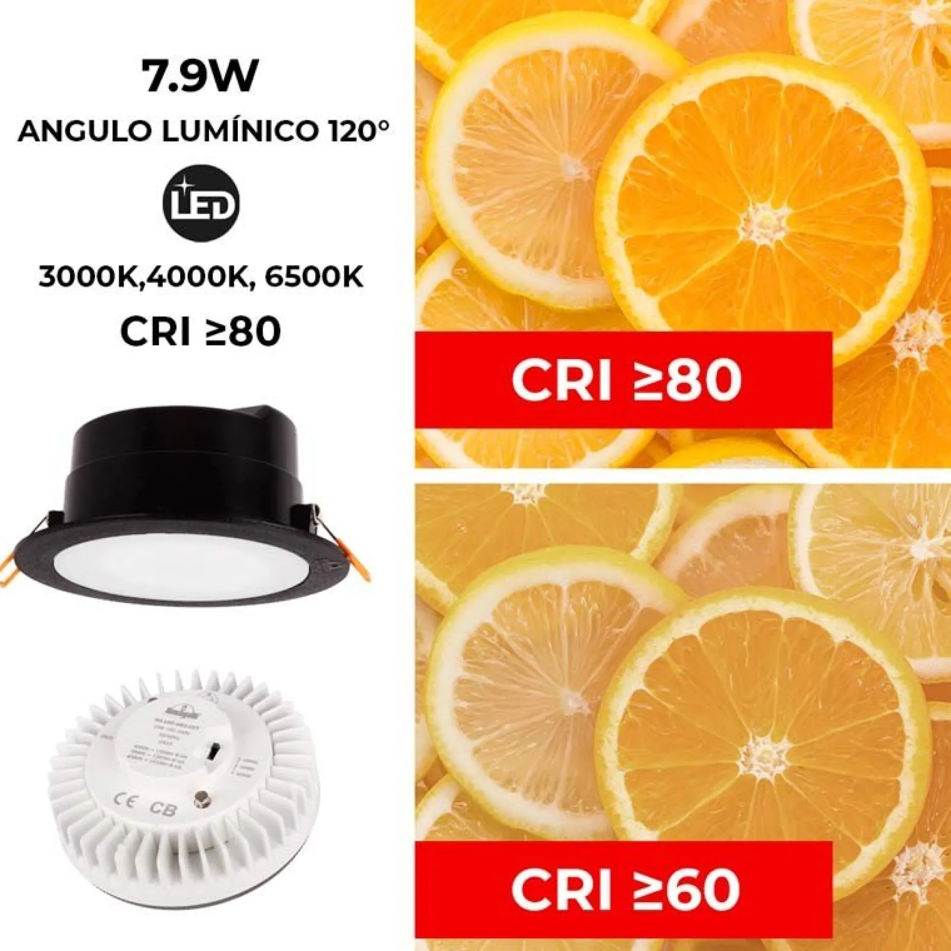 Downlight Redondo Estanco CCT Fumagalli "Teresa 160" 10W IP55