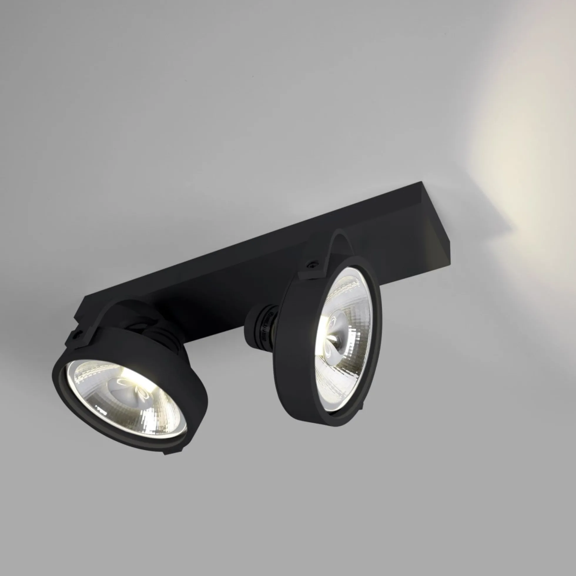 Foco de techo doble orientable "IRIS" + 2 bombillas AR111 GU10