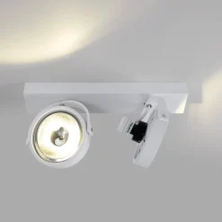 Foco de techo doble orientable