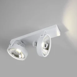 Foco de techo doble orientable