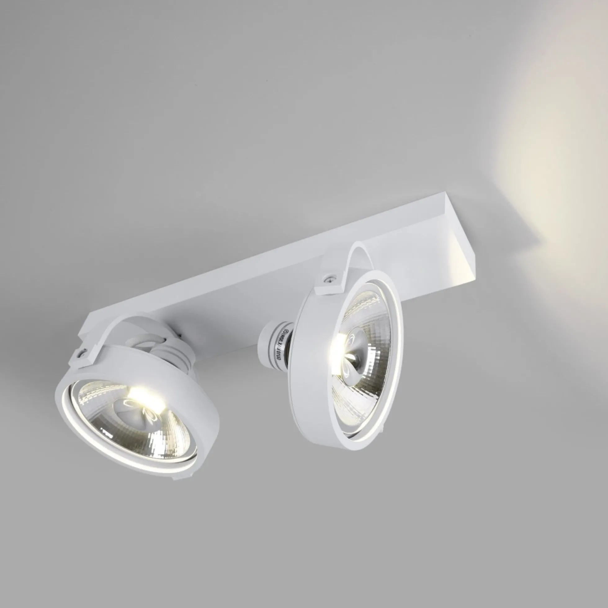 Foco de techo doble orientable "IRIS" + 2 bombillas AR111 GU10