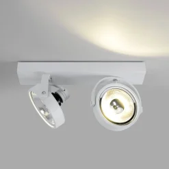 Foco de techo doble orientable