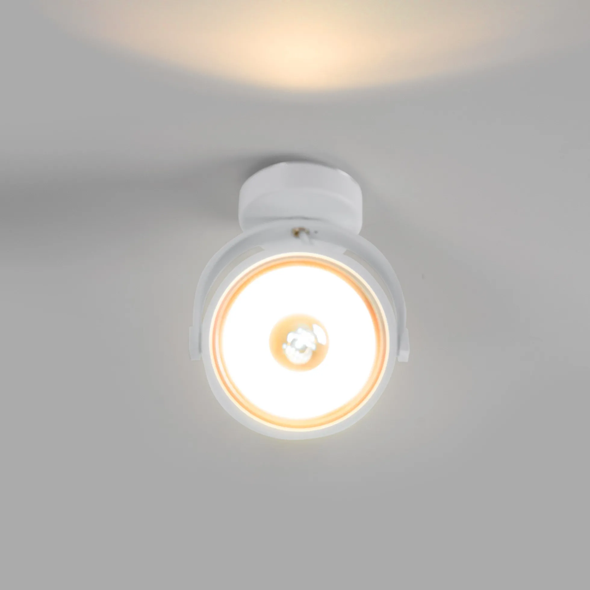 Foco de techo orientable "IRIS" + Bombilla AR111 GU10