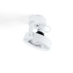 Foco de techo orientable