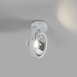 Foco de techo orientable
